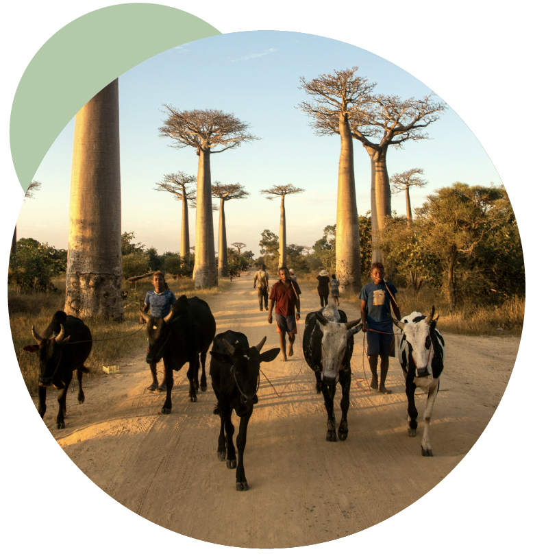 association-madagascar-soutien-population-malgache