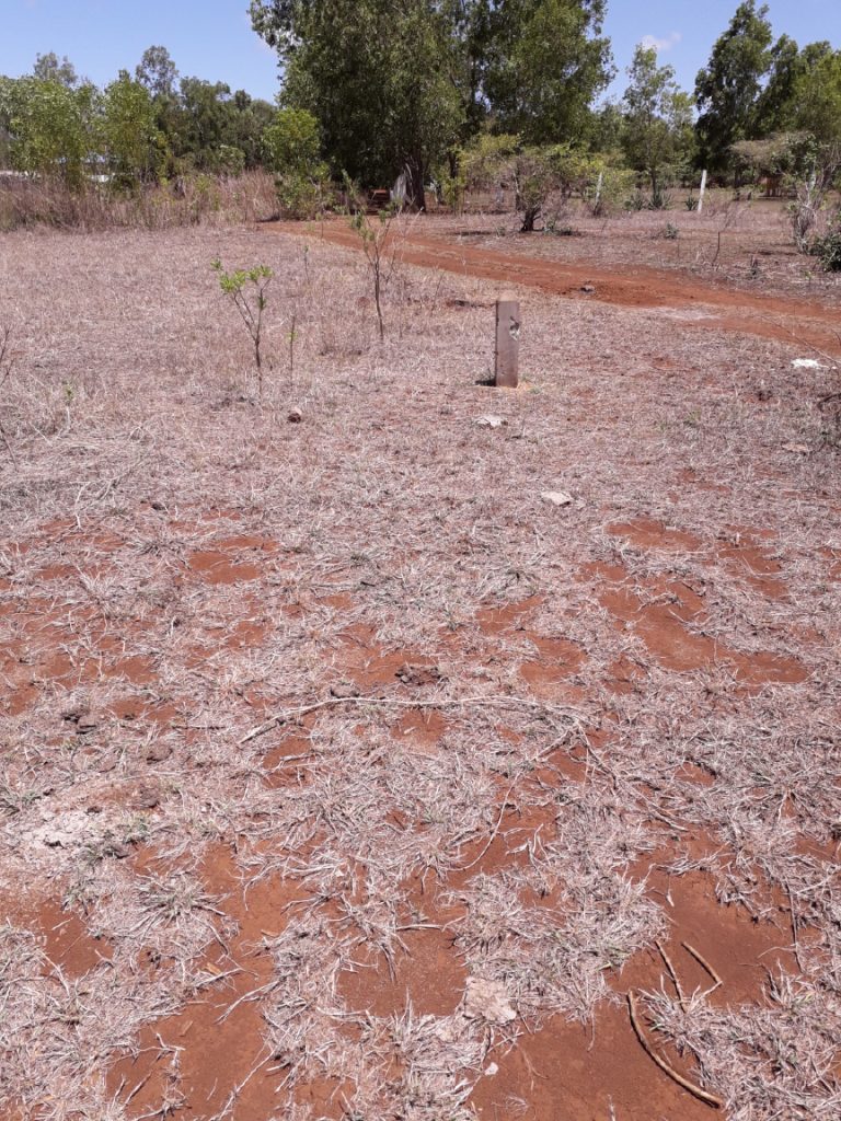 terrain-association-madagascar
